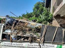 Best Basement Cleanout  in Haskins, OH