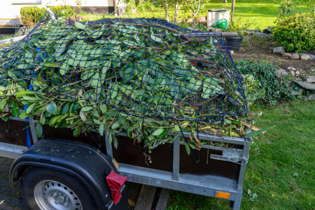 Best Hoarding Cleanup  in Haskins, OH